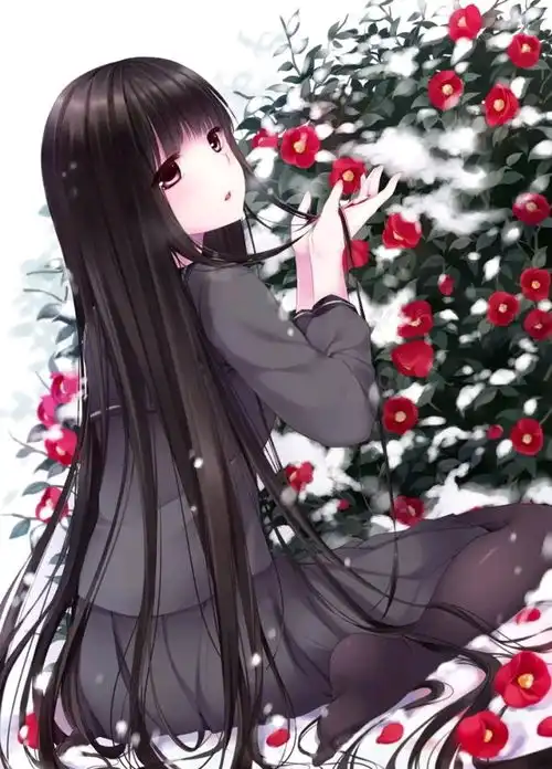 精挑细选出来的壁纸
