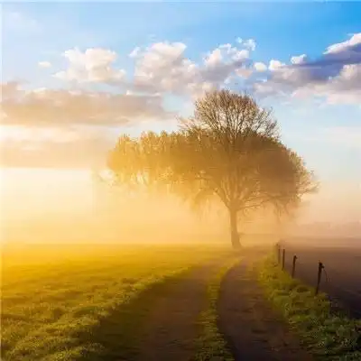 开云体育下载入口
