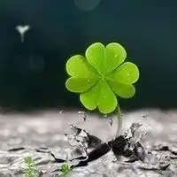 风景和头像合成微信头像图片大全
