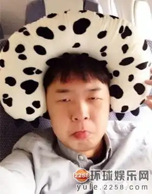 网评亚洲最丑明星top20吴莫愁朴信惠杨幂上榜
