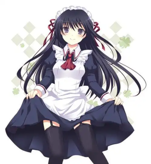 急求这样的动漫图片最好多一点就是一个动漫少女提着裙子的
