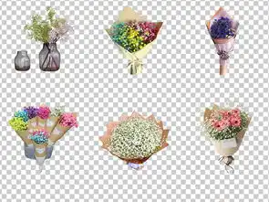 0960清新花朵干花满天星花束花圃鲜花满天星素材免抠图片模板下载66.05mb花卉大全自然
