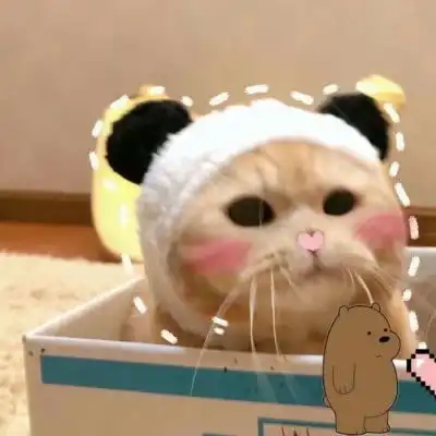 池乔爬爬可爱橘色猫猫情头自加情侣头像我要个性网
