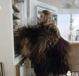 美女明星养猛兽当宠物,结果让她后悔终身
