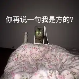 猫可以萌到什么程度
