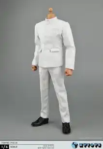 zytoys6男款中山装系列
