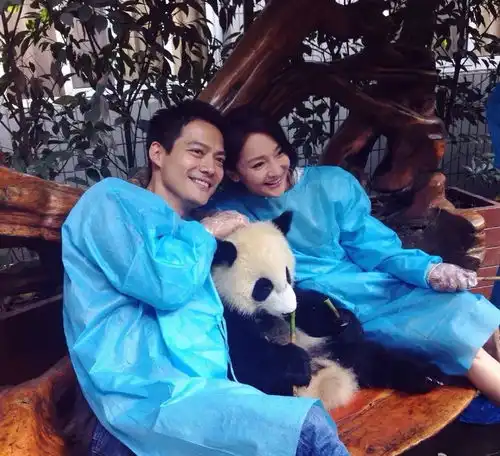 周迅婚变再添锤高圣远删光与女方合照,两人已三年多未同框,网友真离了
