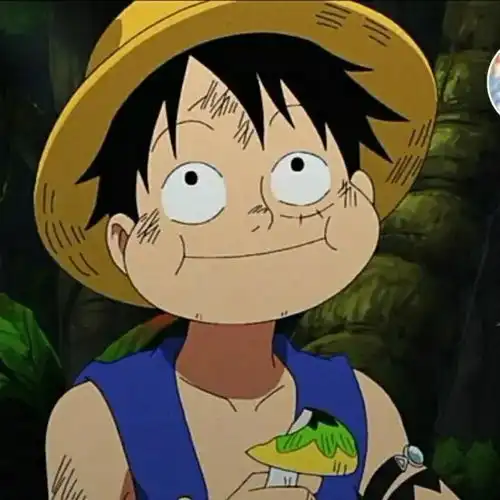 动漫头像海贼王路飞vs女帝
