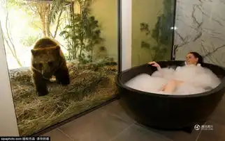 澳大利亚动物园中开旅馆
