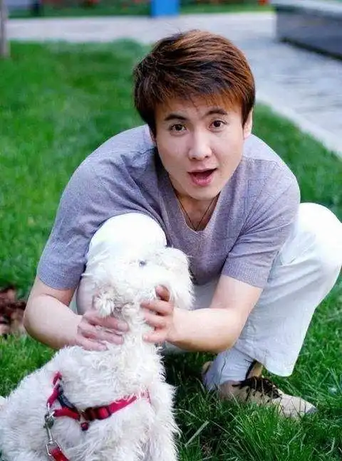 爆笑王者沈腾,行走的表情包,如今成了带来欢乐的油腻大叔
