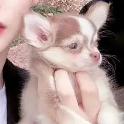 抖音最火两人幸福qq情侣头像
