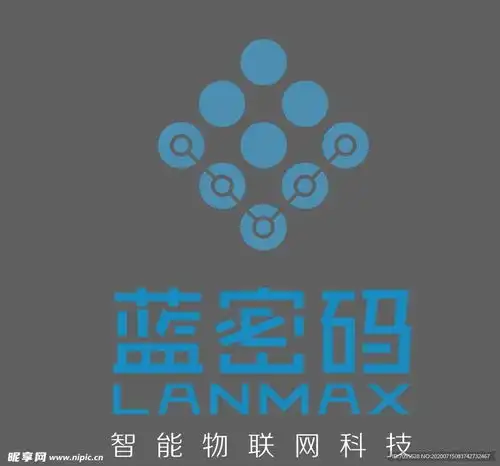 蓝密码设计图企业logo标志标志图标
