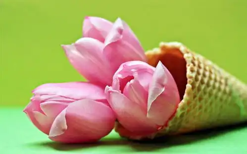 狮子座怎么做,才能找到属于自己的真爱
