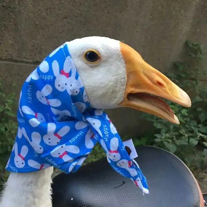 阿点杠杠杠点的想法有哪些沙雕情侣头像
