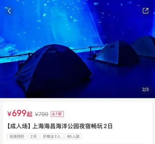 与鱼同眠,上海公园夜宿火爆小朋友的快乐,成年人终于也能拥有夜经济报告
