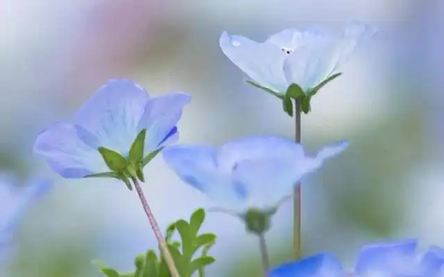 一推崇一唾弃,究竟隐藏了什么样的逻辑
