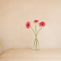 花朵真人头像微信头像图片大全
