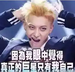 黄子韬表情包加油黄子韬表情包加油和粉丝愉快聊天
