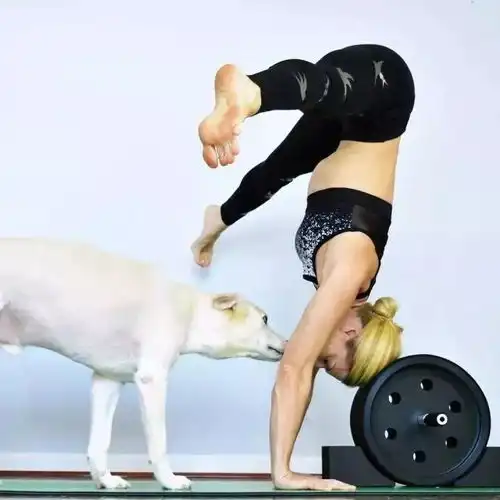 沙曼瑜伽女人瑜伽17年,从肥胖和疾病中走出,她成为最美瑜伽老师惊艳了世界
