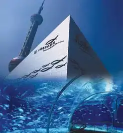 上海轨交站旁竟藏着一个重量级乐园,即将开放此外还有这些景点值得pick
