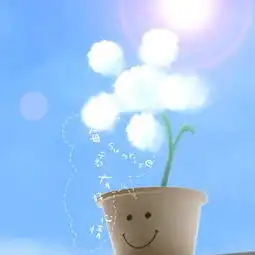 迪哥视频直播全集迪哥资料大全yy官方
