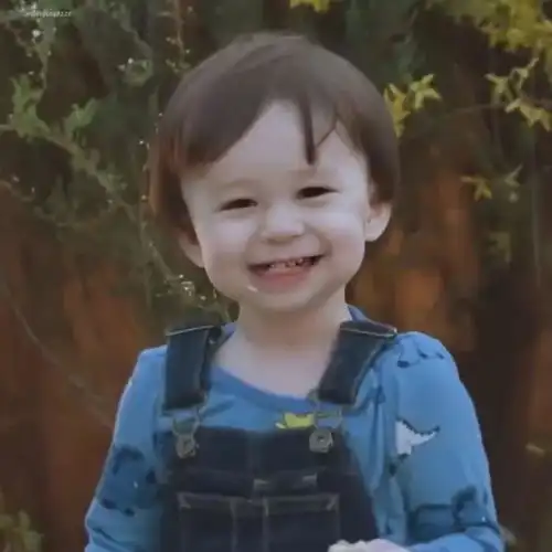 可爱有趣的憨憨文案来啦
