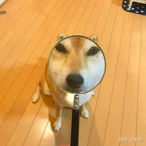 一梦江湖伽蓝门派怎么加点和镶宝石
