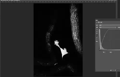 photoshop调出夜晚照片高质量的黑白效果
