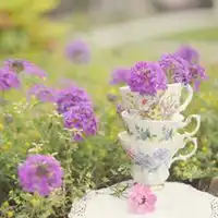 植物花卉微信头像下载榜微信头像图片大全
