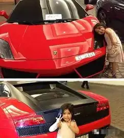 迪拜王子养狮子老虎,此土豪直接养5岁小萝莉,三年后就可以结婚
