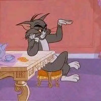 猫和老鼠就是要陪你一辈子
