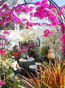 她为养狗买200㎡别墅隐居15年造出3个仙境
