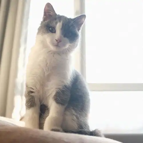 上海丨弹琴读书撸猫丨一次只接待一位女生
