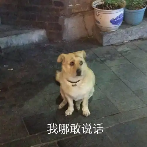 神装秀69高敏高物躲战甲全身装备整齐划一,治好强迫症还给你重拳一击
