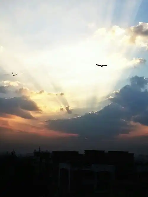 不懂光影,难怪你拍的照片这么平庸
