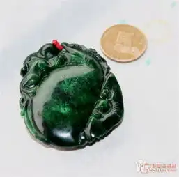 鉴定频道

