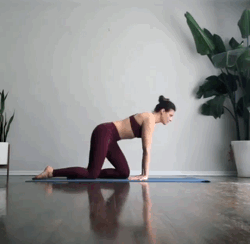 练瑜伽,如何让你的倒立完美离墙,这套序列一定要多练
