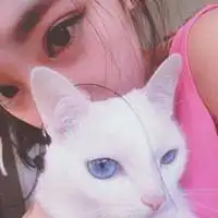 同志情侣头像动漫微信头像图片大全
