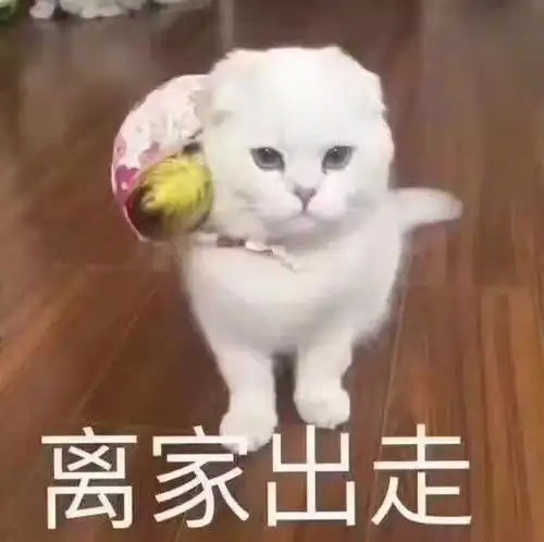 有些人真的不如狗
