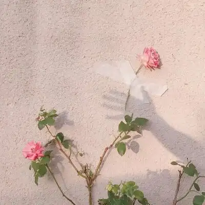 温柔浪漫的风景仙女专用背景图
