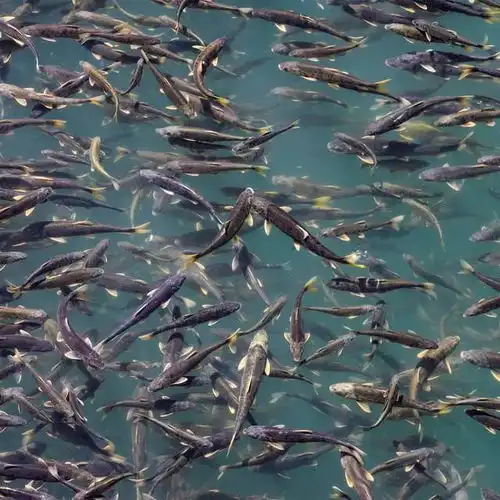 青海的海,藏着多少资源地球知识局
