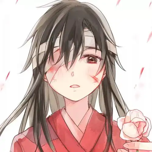 动漫头像天官赐福百无禁忌
