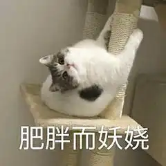 一看就像脑子有病的文案
