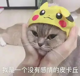 传说中的专业梗,经历过的人都懂看看有没有共鸣吧
