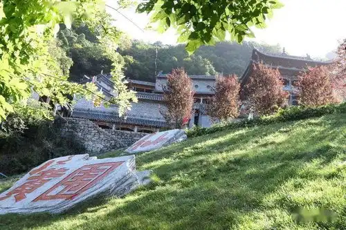 免费门票免费清明小长假,晋城周边踏青赏花,走起
