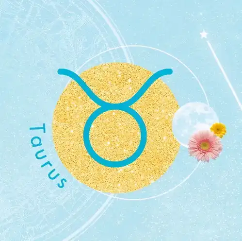 2021年12星座运势财运桃花运事业运
