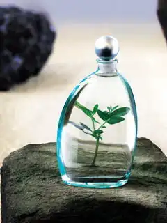 史上最强手机精美图片不断更新中,不顶勿进3
