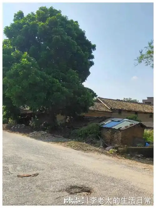我奶偏爱大伯,我奶瘫痪了,大伯不管,我父亲把我奶接回家中照顾
