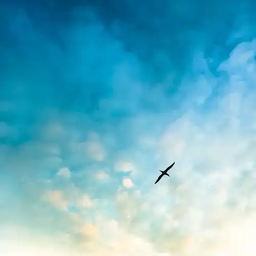 早安空白也是一种色彩
