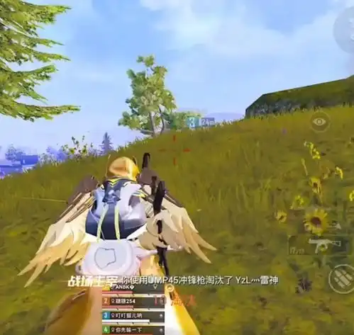 和平精英主播刚体验炽羽金尊,海岛多了三个女粉,太真实了
